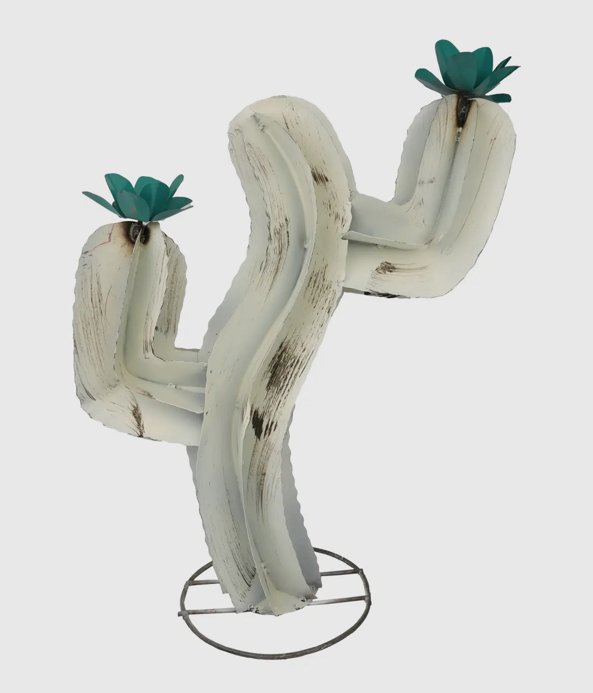 Curvy Cactus - Med