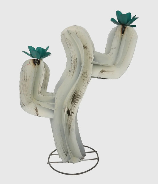 Curvy Cactus - Med