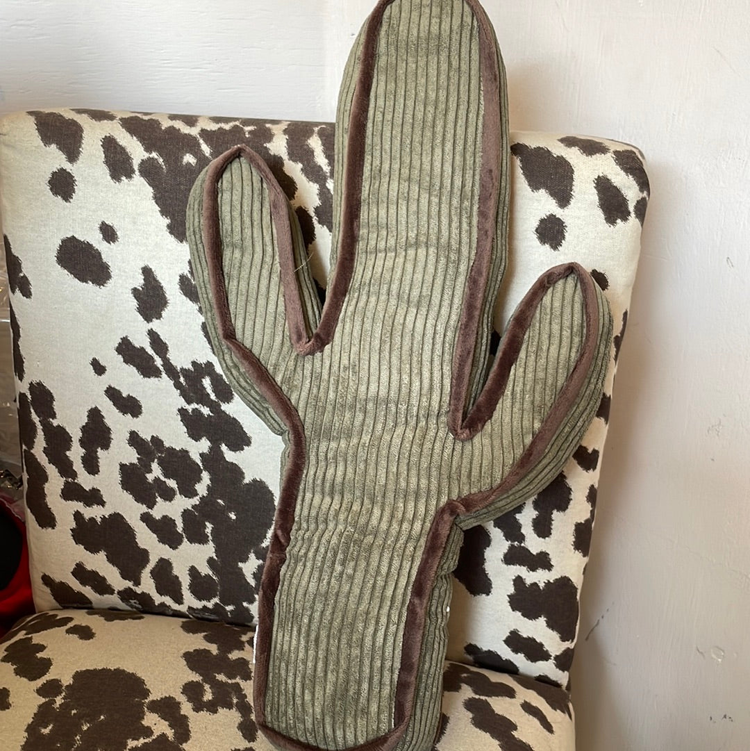 KICK A CACTUS