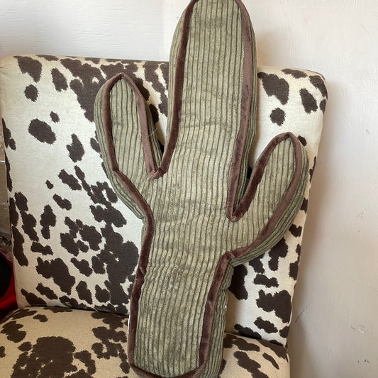 KICK A CACTUS
