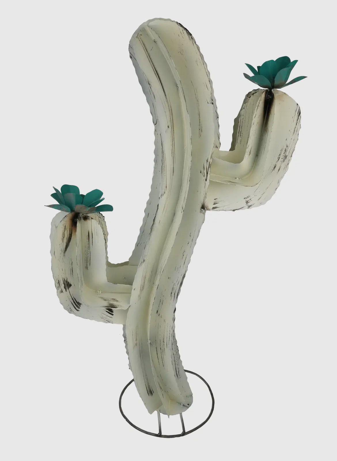 Curvy Cactus- Large